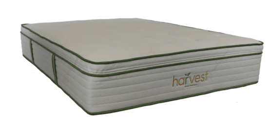 Harvest Green Pillow Top Mattress