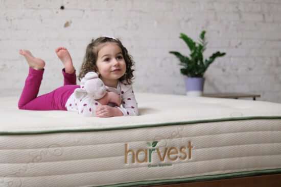 Harvest Green Original Mattress